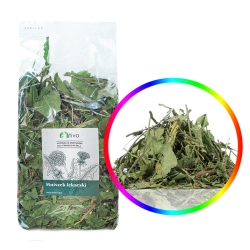 TIVO Mniszek Lekarski 150g suszony liść